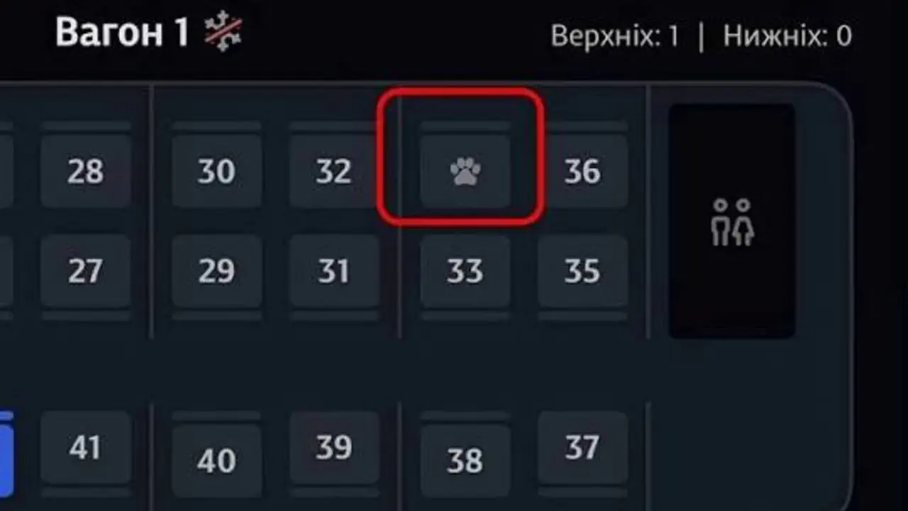 Применение Укрзализныци иконка кавычки: проезд с животными, новые функции и бронирование мест