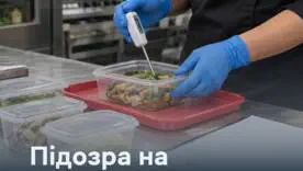 Сальмонелла на кухне: как заведения не допустить катастрофы после первой жалобы