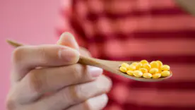 Постоянная усталость может быть сигналом: 14 продуктов с витамином B12