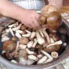 Как быстро очистить грибы