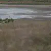 Зафіксовано підвищений рівень пилу в повітрі: роз'яснення та рекомендації для мешканців
