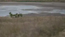 Зливи у Києві та області: ДСНС оголосила жовтий рівень небезпечності через негоду
