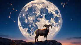 Что стоит сделать Овнам, Ракам, Весам и Козерогам во время полнолуния?