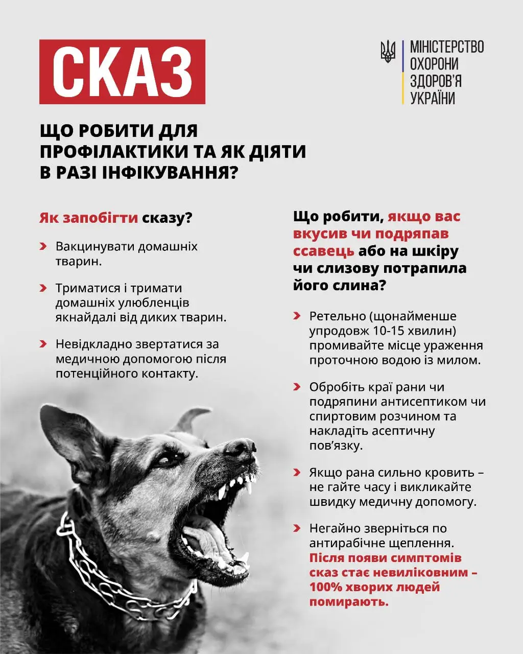 / Фото: Харківський обласний ЦКПХ