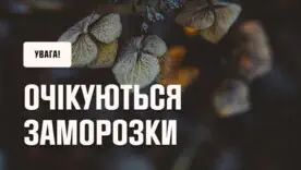 Холодні ночі та заморозки на ґрунті: прогноз погоди на початок жовтня