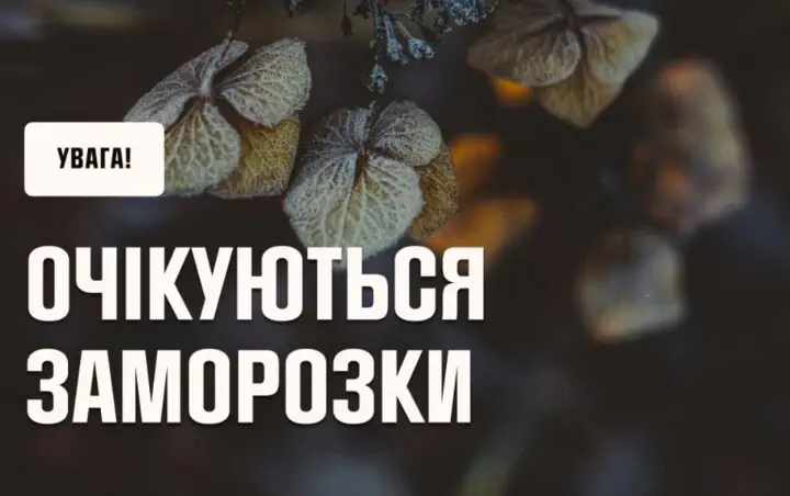 Холодні ночі та заморозки на ґрунті: прогноз погоди на початок жовтня