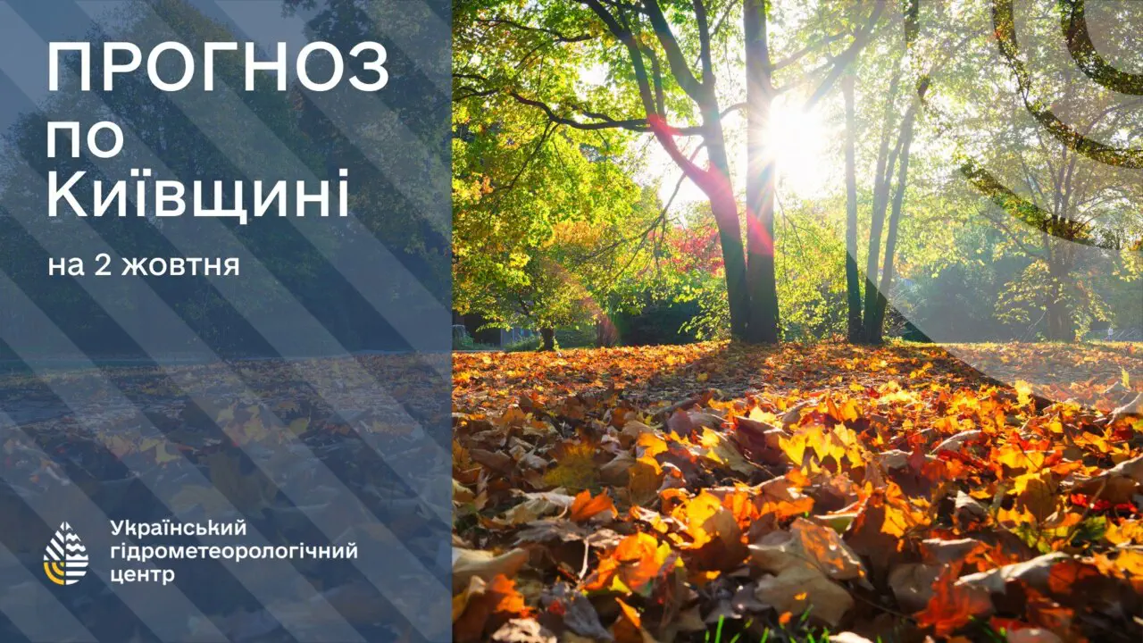 Погода на Киевщине 2 октября: ждать ли дождя и какой будет температура