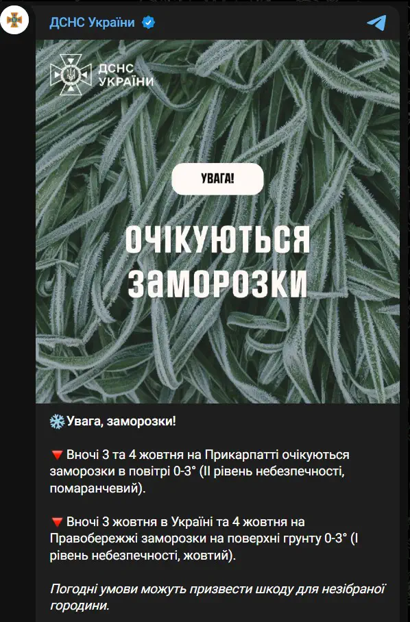 Погодні умови можуть призвести шкоду для незібраної городини