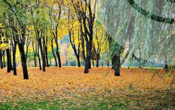 Пил у 5 містах Київщини та теплі +23°: ситуація в регіоні на 8 жовтня