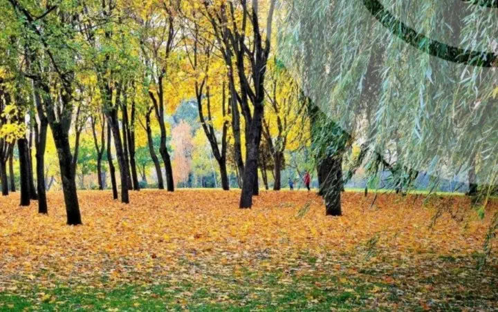 Пил у 5 містах Київщини та теплі +23°: ситуація в регіоні на 8 жовтня
