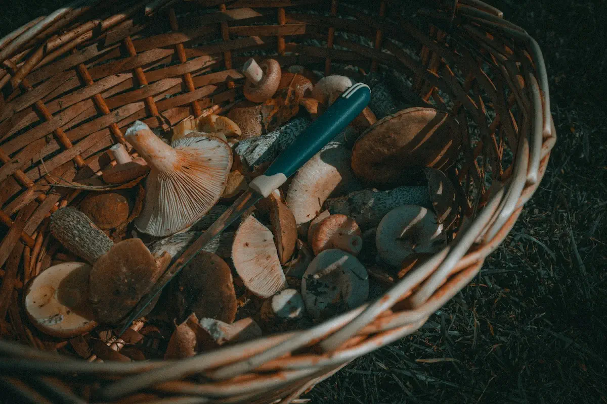 Фото: Unsplash