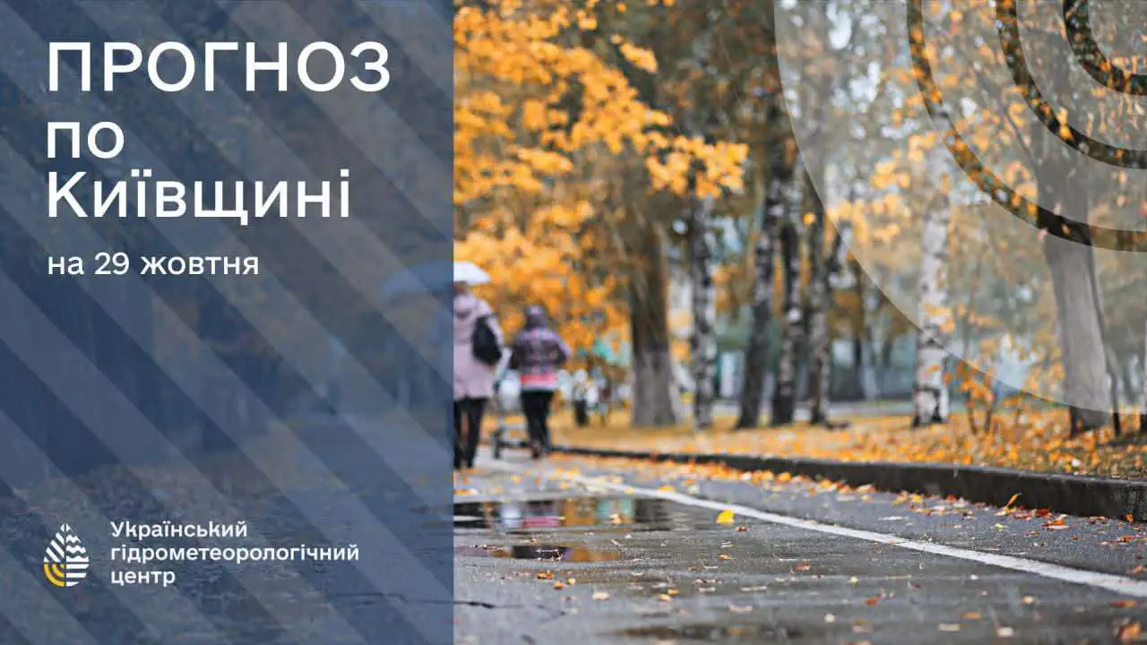 Дожди, туман и сильный ветер: прогноз погоды в Украине на 29 октября