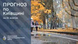 Дожди, туман и сильный ветер: прогноз погоды в Украине на 29 октября