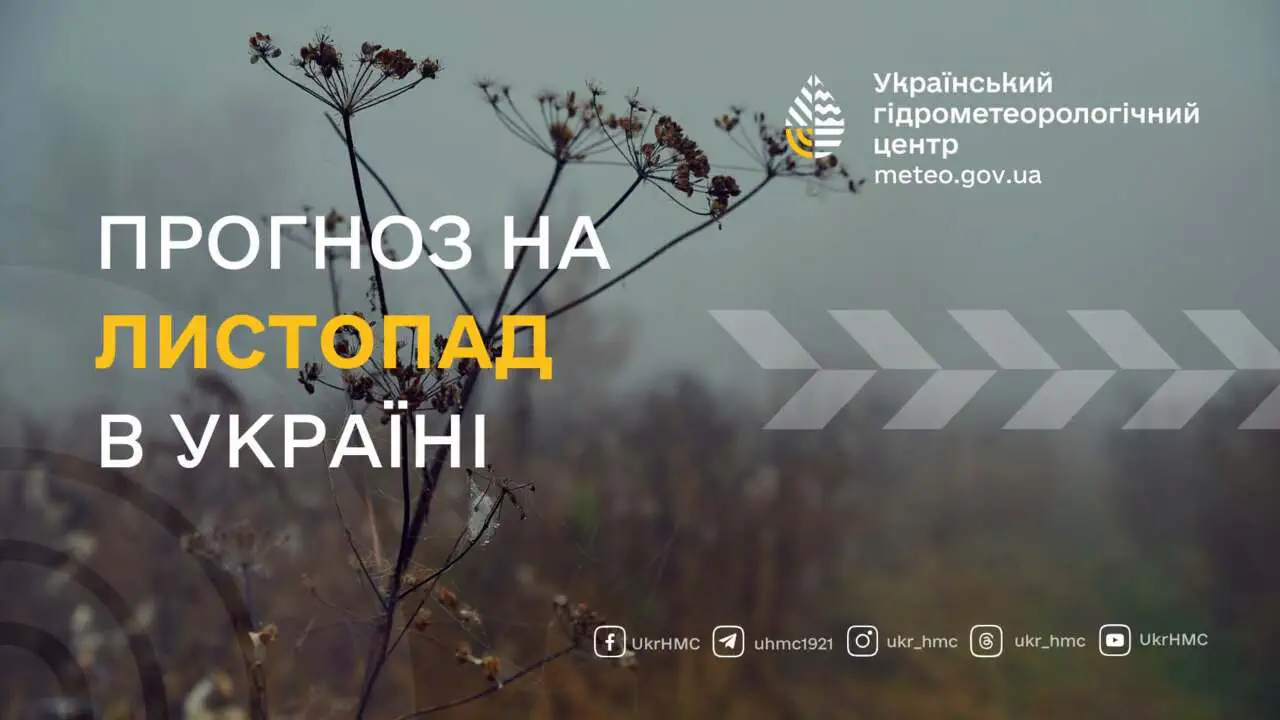 Еще немного тепла, а затем похолодание: какой будет погода в Украине в начале ноября