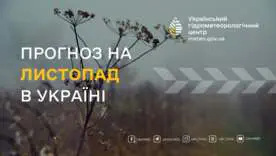 Еще немного тепла, а затем похолодание: какой будет погода в Украине в начале ноября