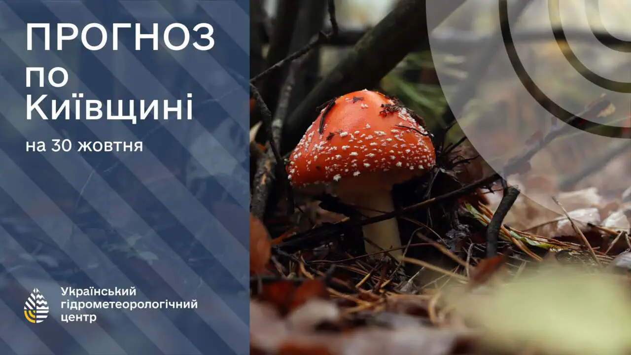 Дожди и до 15° тепла: прогноз погоды в Украине на 30 октября