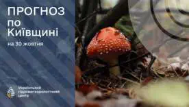 Дощі та до 15° тепла: прогноз погоди в Україні на 30 жовтня