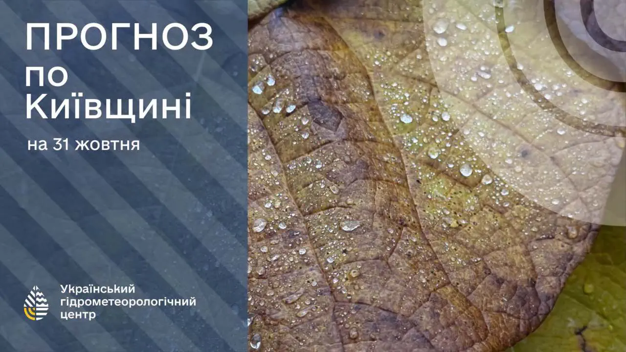 Дожди накроют часть Украины: прогноз погоды на 31 октября