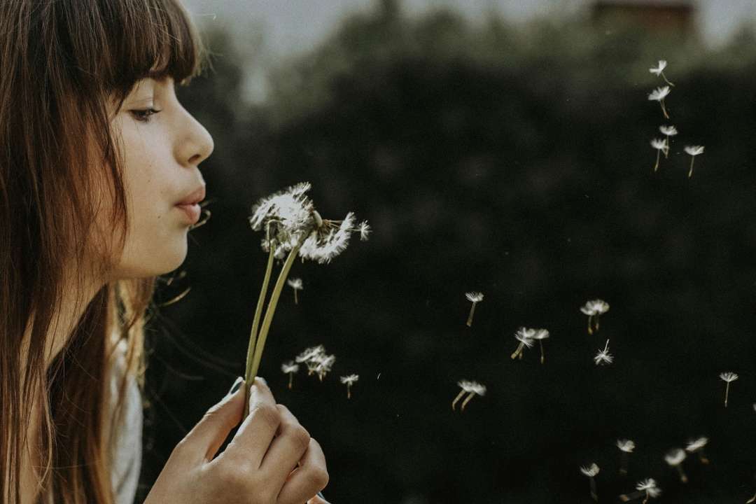 Психологічний тест у картинці/Фото: Unsplash