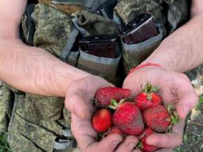 Фото: Оперативное командование "Юг" Военный с клубникой