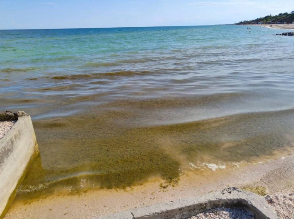 Азовське море як болото