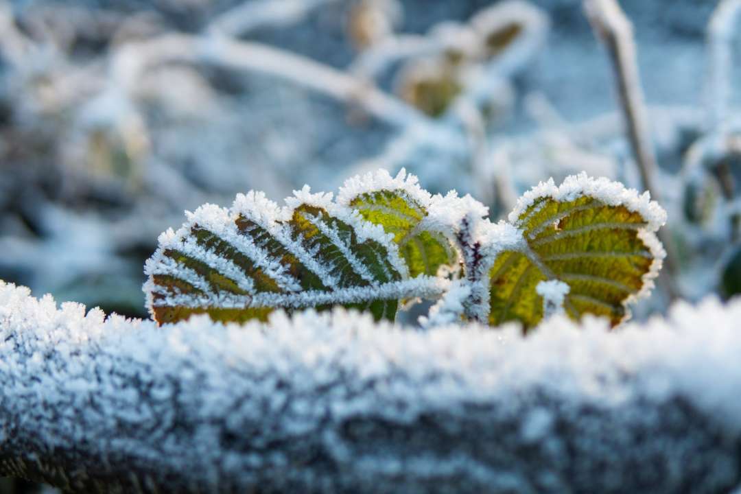 Прогноз погоди в Україні на 15 листопада 2022/Фото: Unsplash
