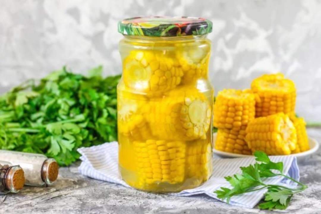 Кукурудза