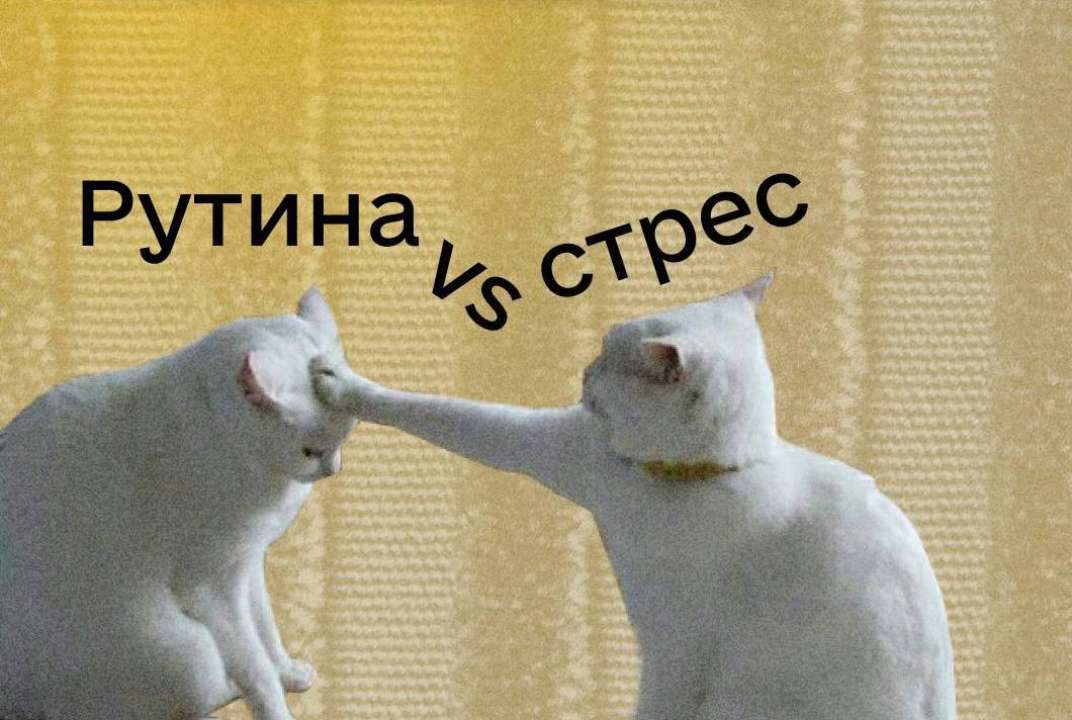 Ці поради допоможуть перемогти стрес у домашніх умовах / Фото: t.me/diia_gov