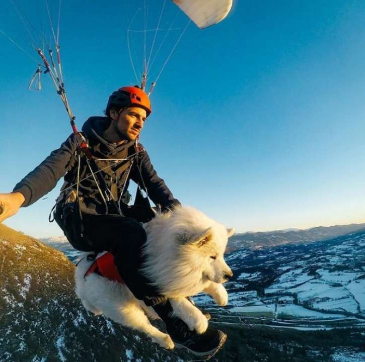 Собака развеселила Сеть своим полетом с хозяином. Фото: Instagram Ouka.Sam Собака на параплане летит
