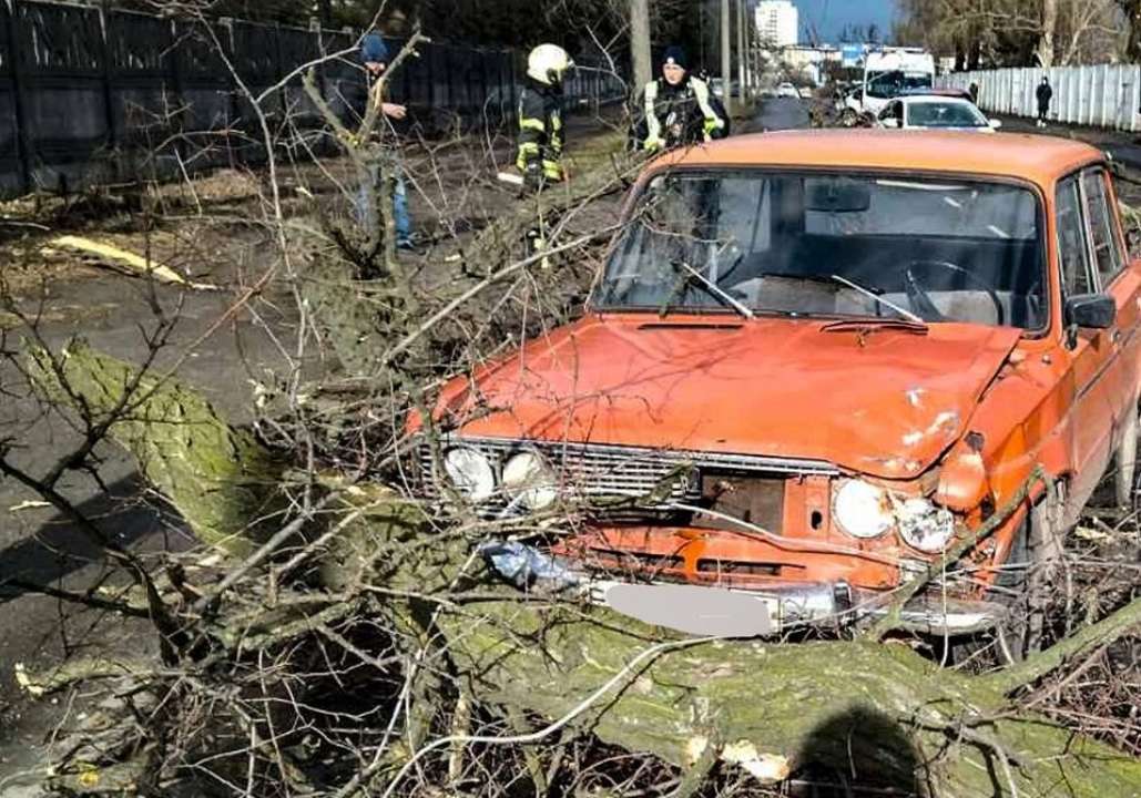 Рятувальники ліквідували наслідки сильного вітру/Фото: ДСНС