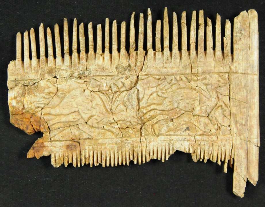 У Німеччині археологи знайшли гребінь зі слонової кістки віком 1,5 тисячоліття
