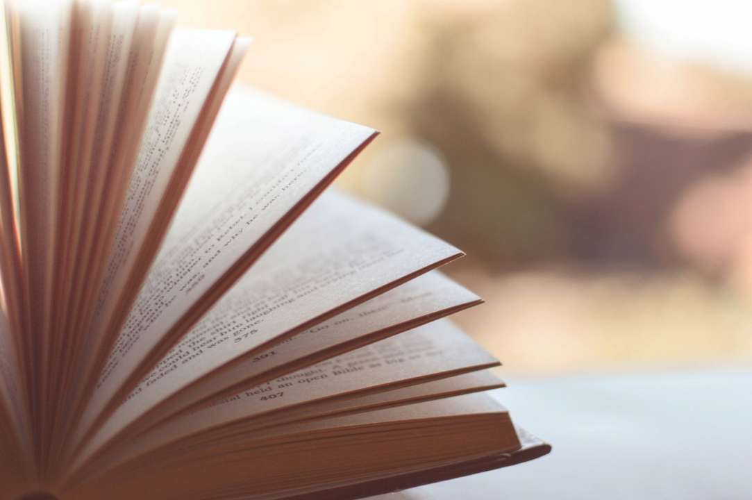 В Украине запретили продажу всех российских книг/Фото: Pixabay Книга