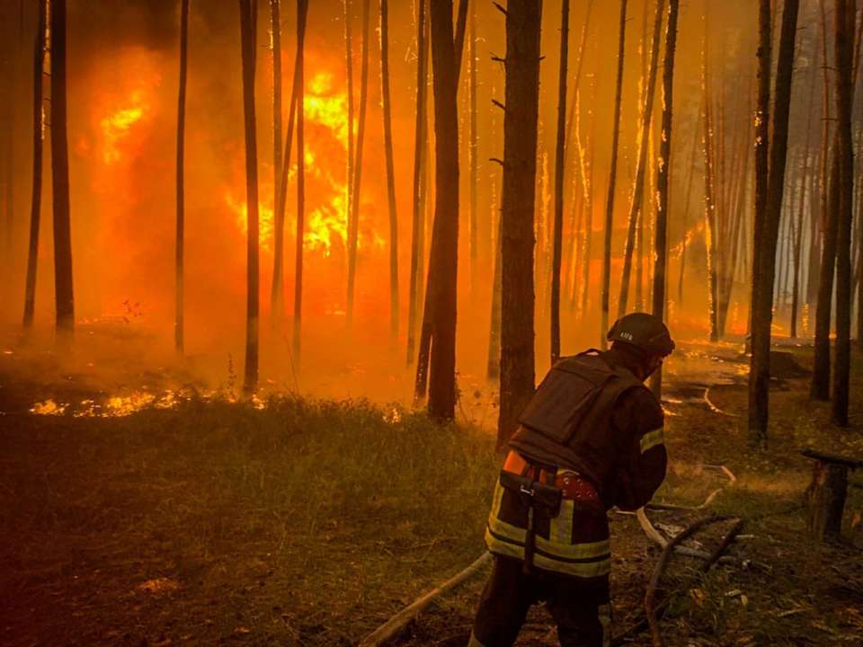 Рятувальники опублікували світлину пожежі у лісі після обстрілу рф