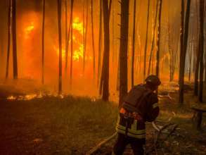 Рятувальники опублікували світлину пожежі у лісі після обстрілу рф Рятувальники опублікували світлину пожежі у лісі після обстрілу рф