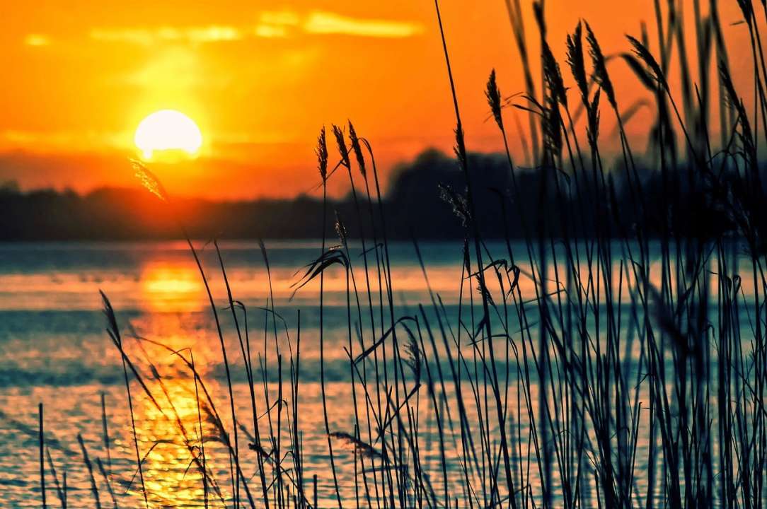 Синоптик розповіла, коли українцям очікувати повернення тепла/Фото: pixabay Коли до України повернеться літнє тепло: прогнози синоптика