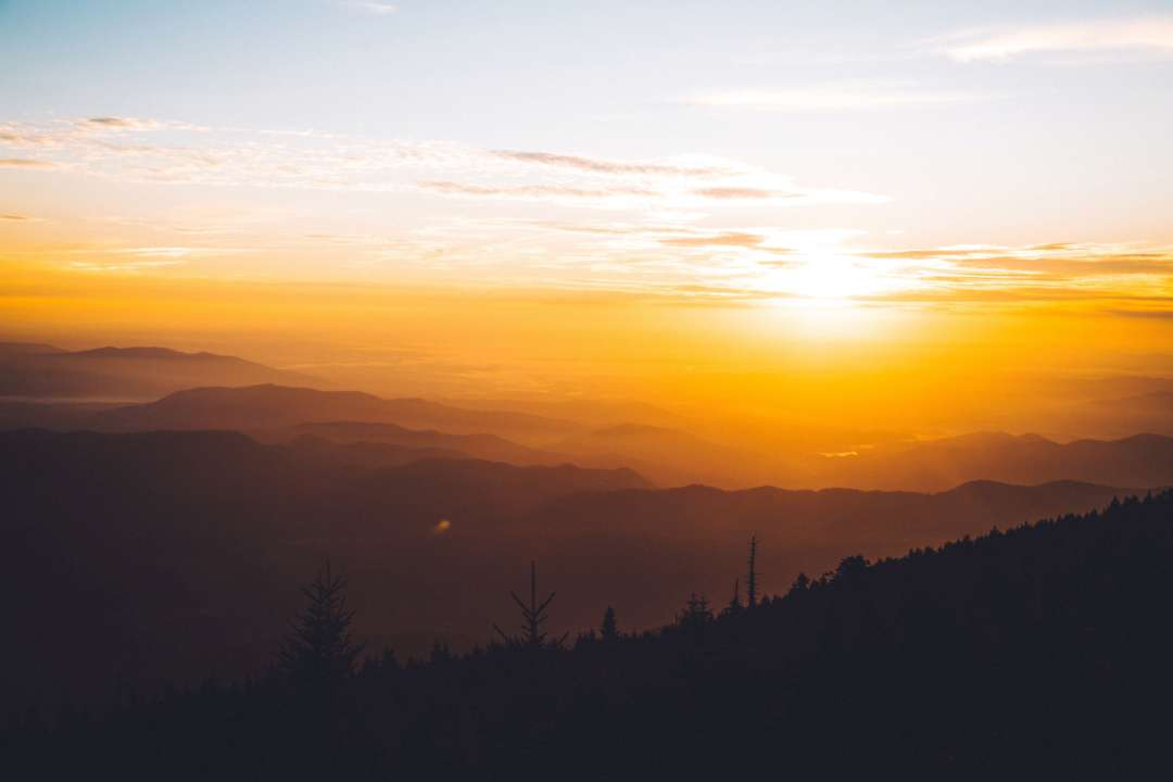 Кто празднует день ангела 9 сентября/Фото: Unsplash