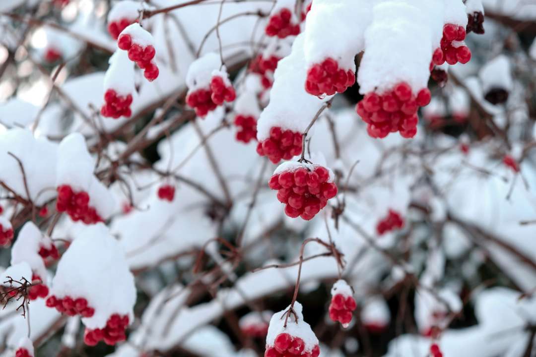 Именины 21 ноября/Фото: Unsplash Именины 21 ноября/Фото: Unsplash