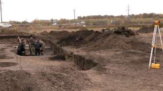 Фото: Суспільне Рівне біля Рівного археологи знайшли скелет самки лося