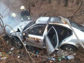 У Запорізькій області сталася смертельна ДТП/Фото: ДСНС ДТП