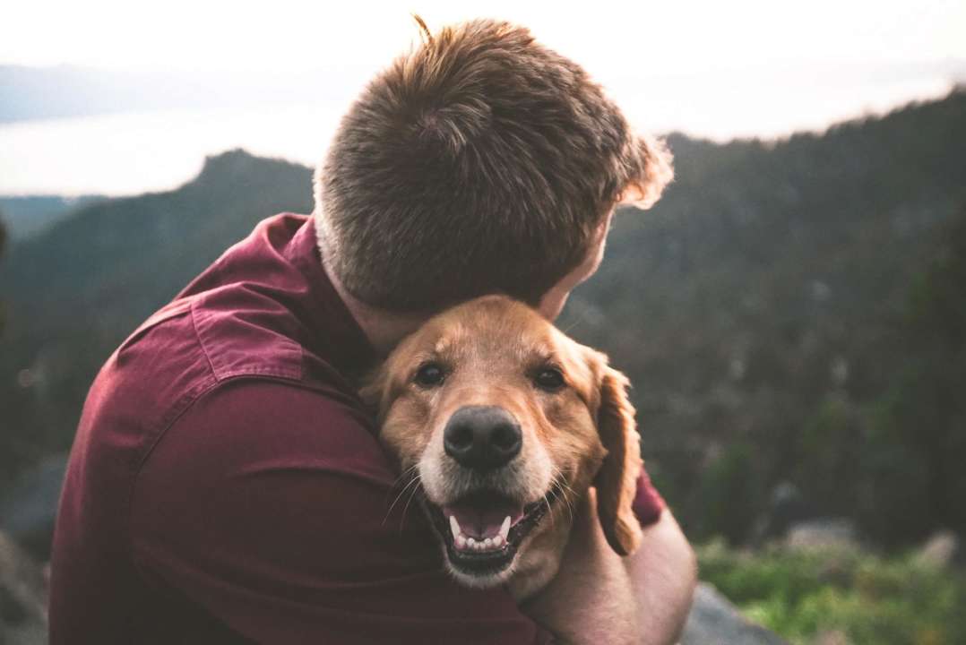 Міжнародні та церковні свята 20 лютого. Фото: Unsplash/Автор-Eric Ward День ангела 20 лютого