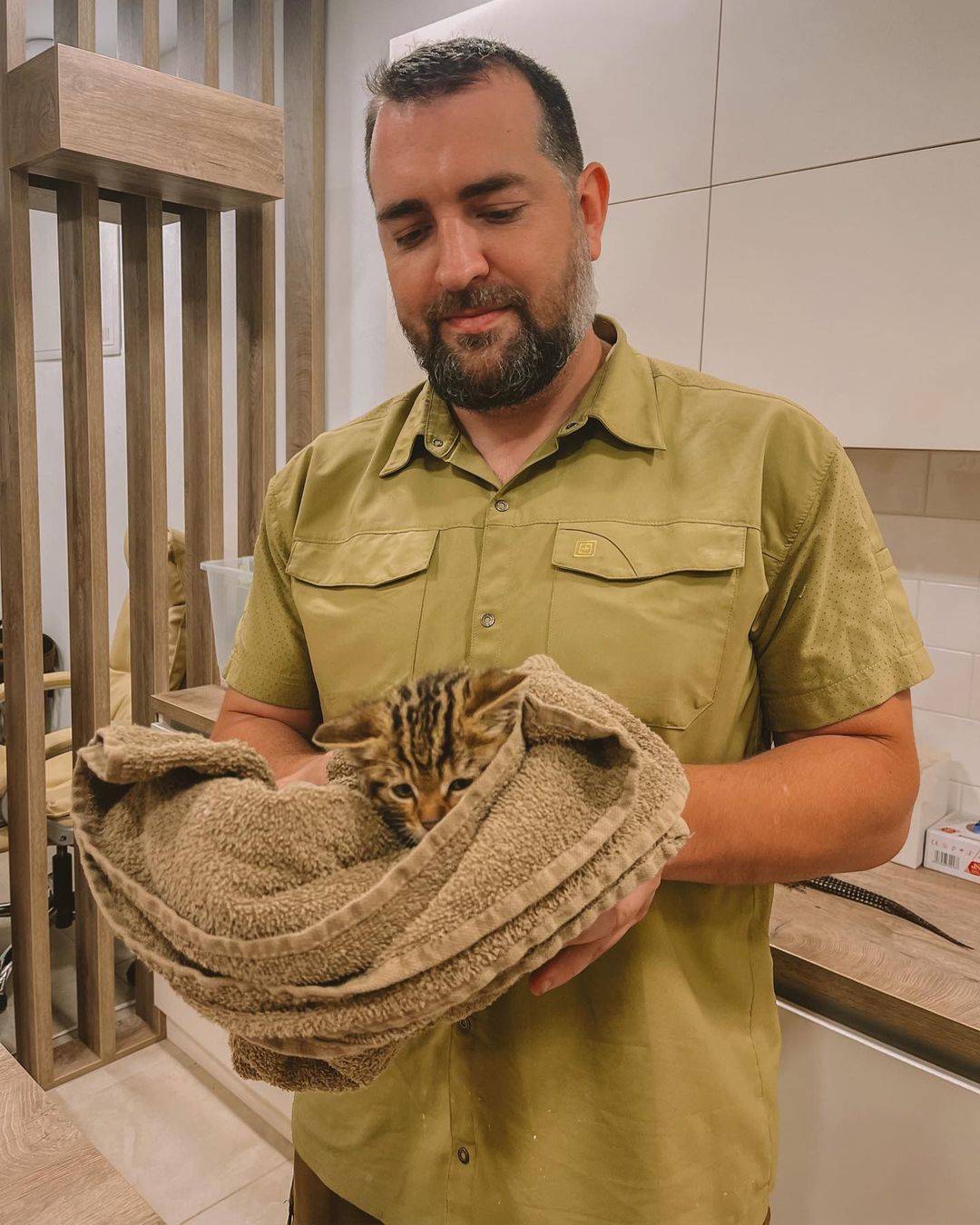 В Одесской области спасли детенышей европейского лесного кота/Фото: Instagram/Автор: vet.crew vet.crew