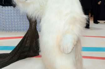 Фото: Getty Images Джаред Лето у костюмі кота та срібний Lil Nas: найдивніші образи зірок на Met Gala 2023