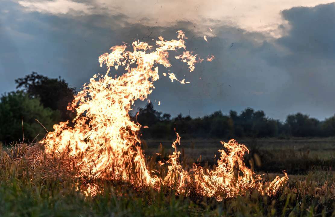 Синоптики и ГСЧС назвали самый опасный регион Украины из-за жары / Фото: pvproductions/Freepik Синоптики и ГСЧС назвали самый опасный регион Украины из-за жары / Фото: pvproductions/Freepik