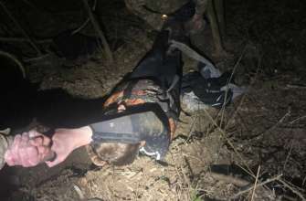 З Тиси виловили ледь живого ухилянта/Фото: ДПСУ З Тиси виловили ледь живого ухилянта/Фото: ДПСУ