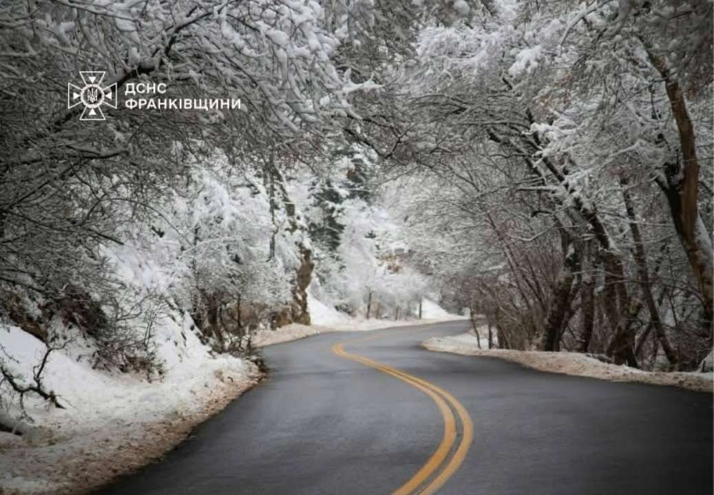 Фото: t.me/ifdsns