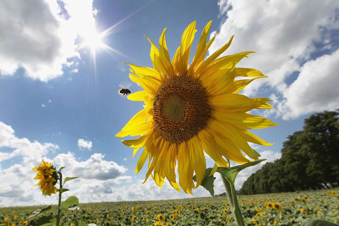 Погода в Україні на 9 листопада/Фото: Getty Images Погода