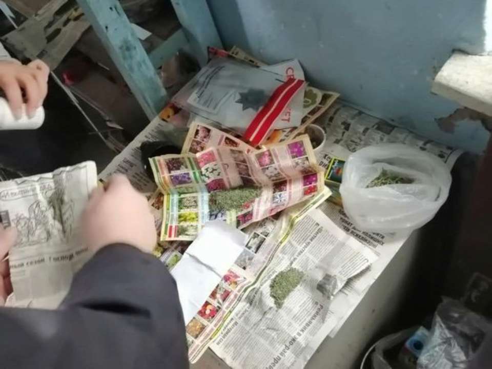 Житель села в Херсонской области дома имел больше одного килограмма канабиса