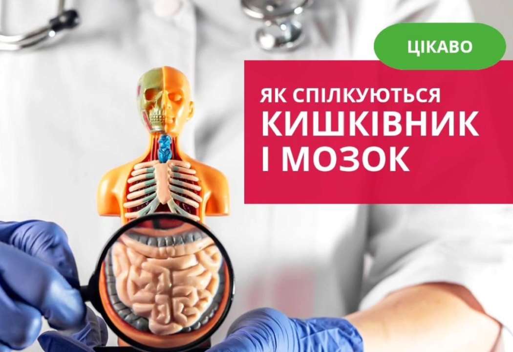 Цікавий факт: приблизно 95% серотоніну виробляється клітинами слизової оболонки кишечника
