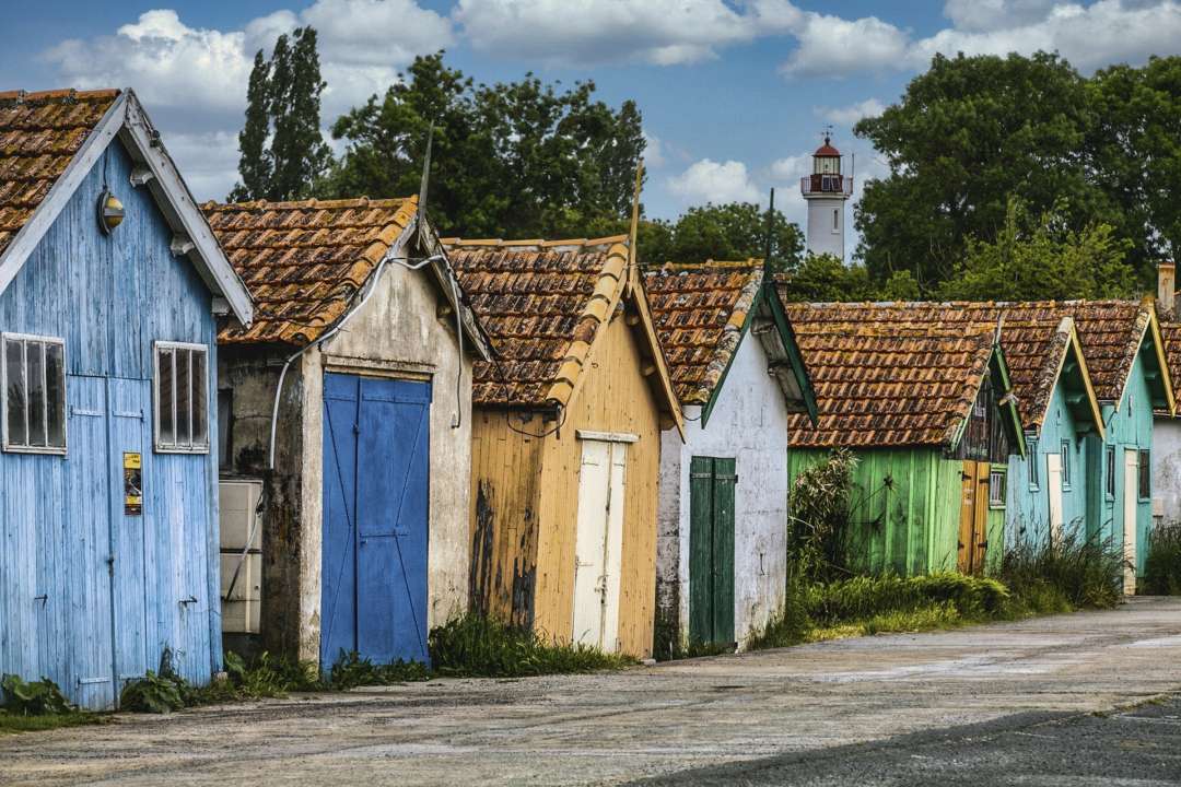 Фото: Pixabay/Автор — picardzucht 3 сентября: какой сегодня праздник, приметы и традиции
