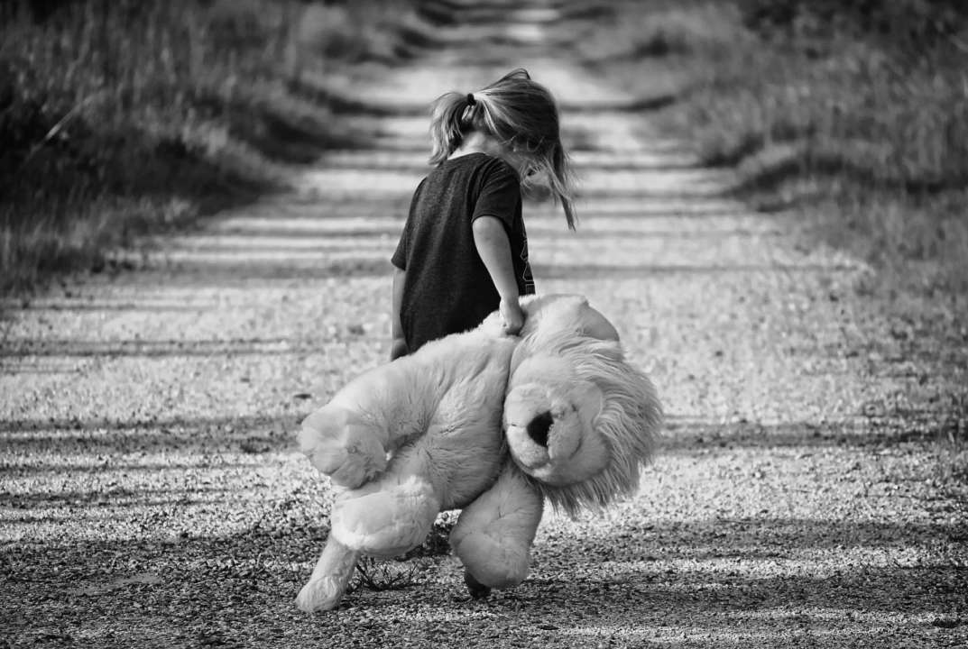 На Волыни изнасиловали 7-летнюю девочку / Фото: pixabay.com